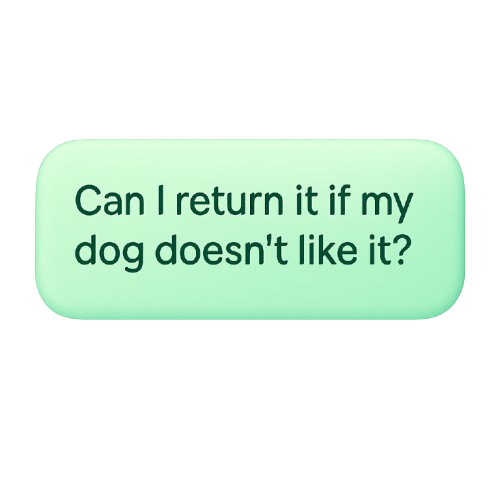 Question Example