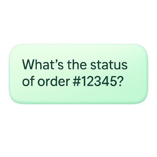 Question Example