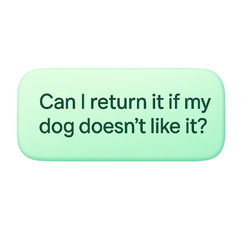 Question Example